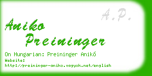 aniko preininger business card